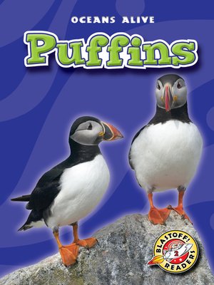 cover image of Puffins